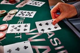 9995 bet 9995 bet