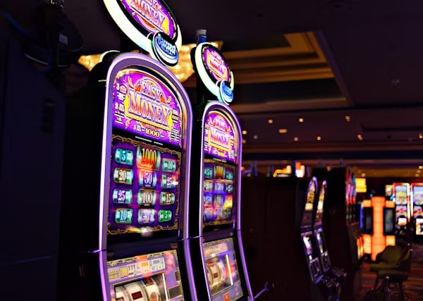 9995 bet 9995 bet